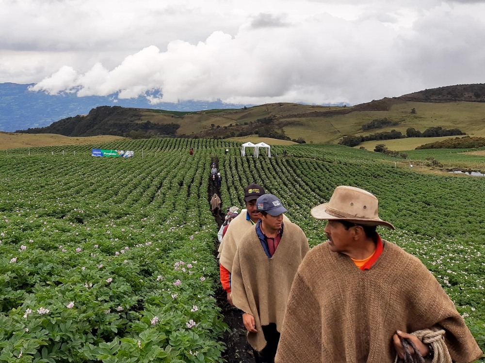 La Sede Tunja De AGROSAVIA, Aportando A La Agricultura Familiar Y La Seguridad Alimentaria De Boyacá2 AGROSAVIA