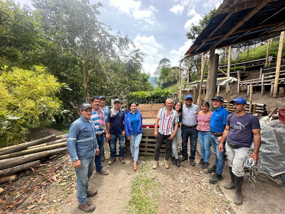 Entrega de plántulas de aguacate en Herveo, Tolima