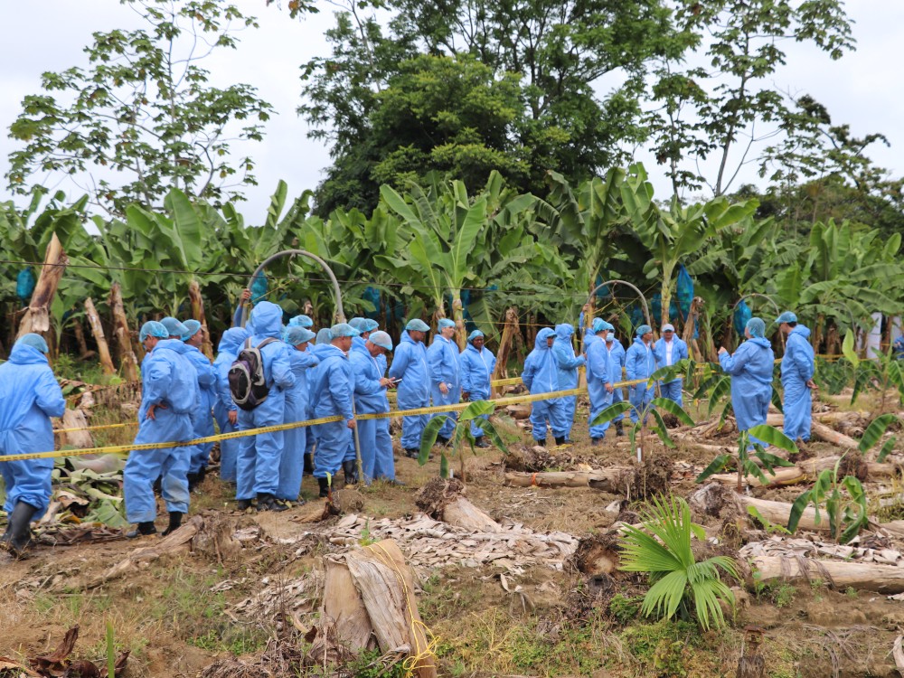 Simulacro FOC R4T Urabá5 AGROSAVIA