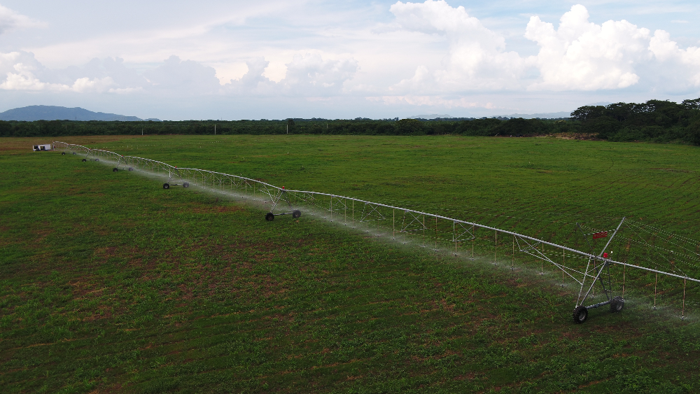 Delivery of results project irrigation systems in Cesar SGR