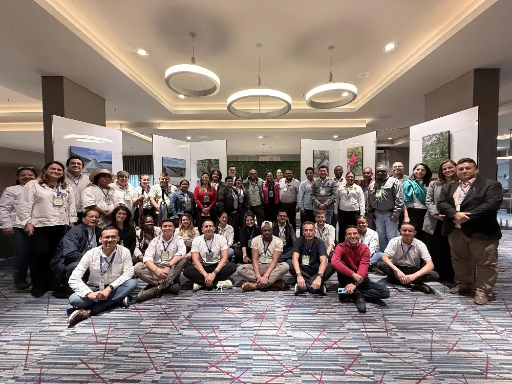 Territorial Innovation Systems