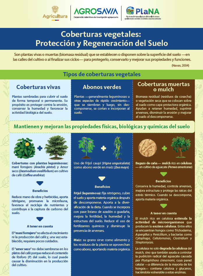 Coberturas Vegetales