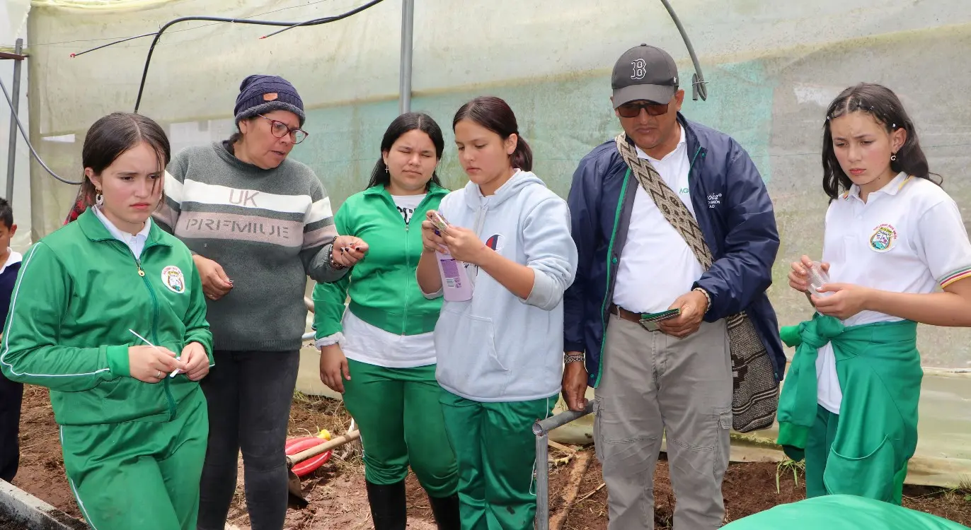 Jóvenes De Balsillas3 Fotor Webp