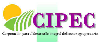 Corporación para el Desarrollo Integral del Sector Agropecuario