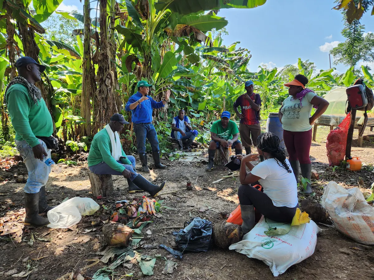 Gobernanza y seguridad alimentaria en la cuenca del río Atrato el conocimiento tradicional se encuentra con la ciencia.