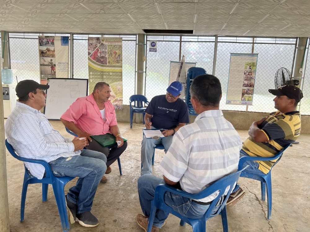 Proyecto De Ñame1 AGROSAVIA