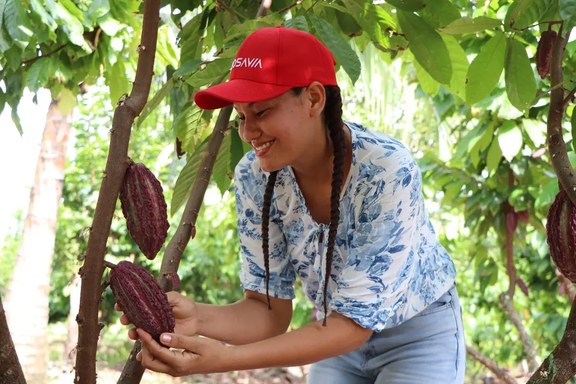 Montelíbano, Puerto Libertador, Tierralta y Valencia, municipios donde se implementa el proyecto Regalías Cacao Córdoba
