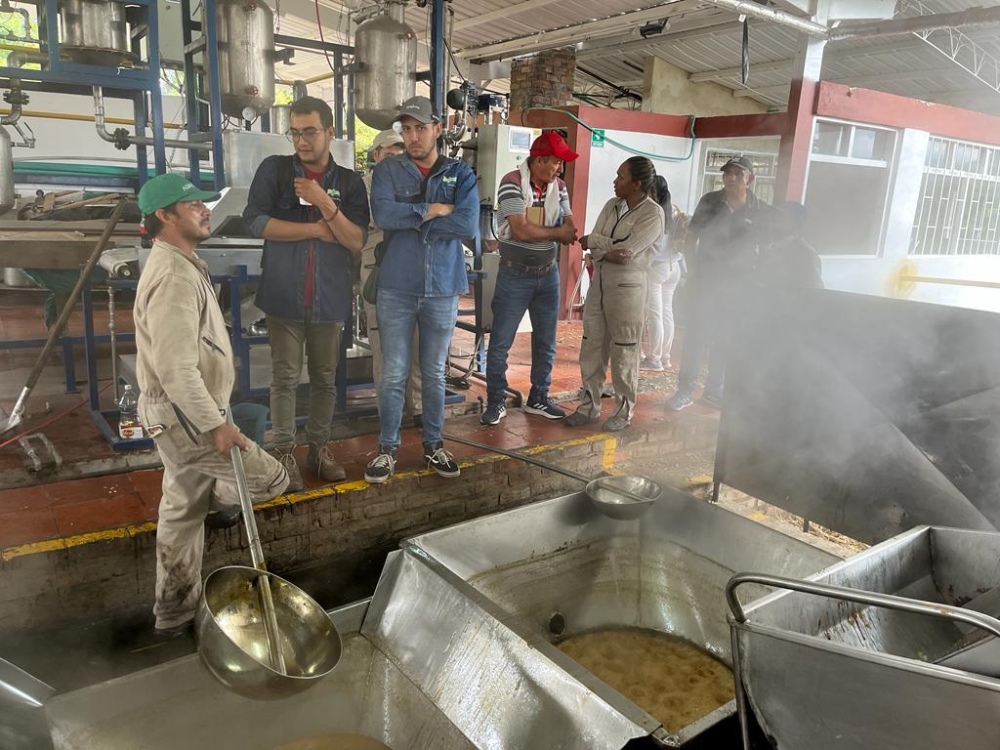 Evalaución Caña2 AGROSAVIA