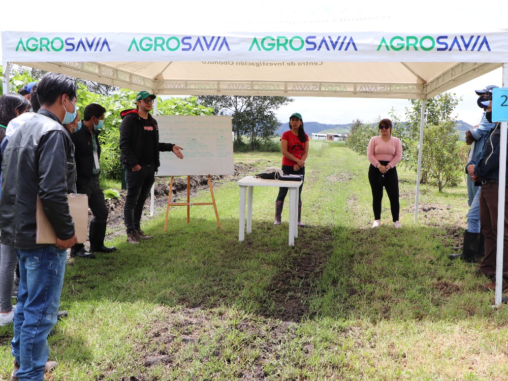 Lanzamiento Silvopastoriles 2 AGROSAVIA