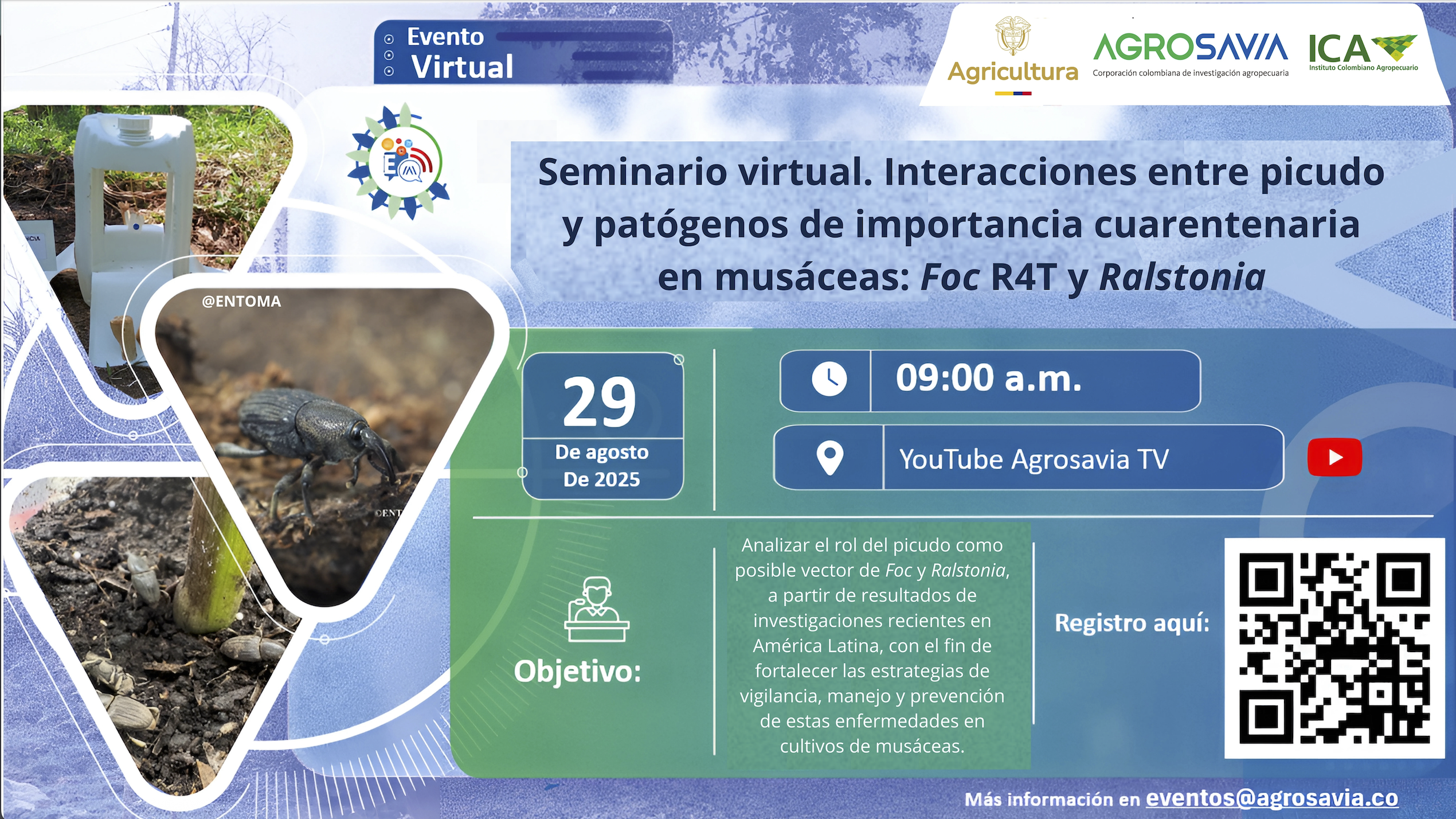 Evento 29 agosto