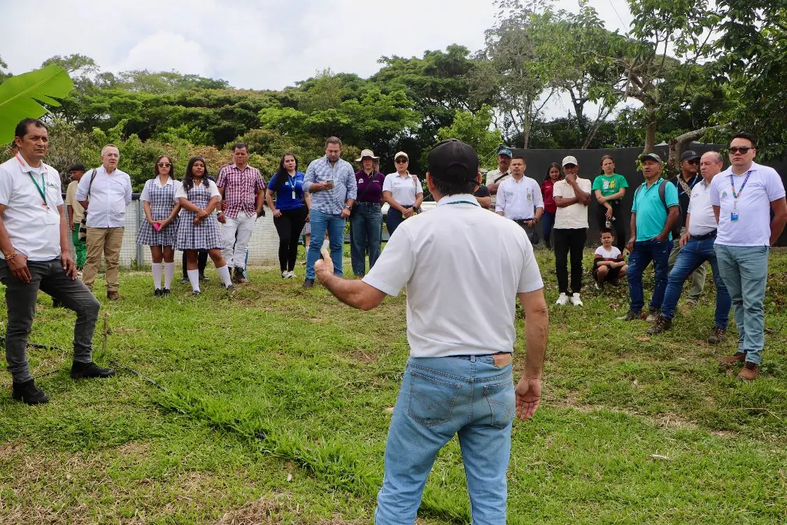 Una Nueva Raíz Para Tello5 Fotor Webp