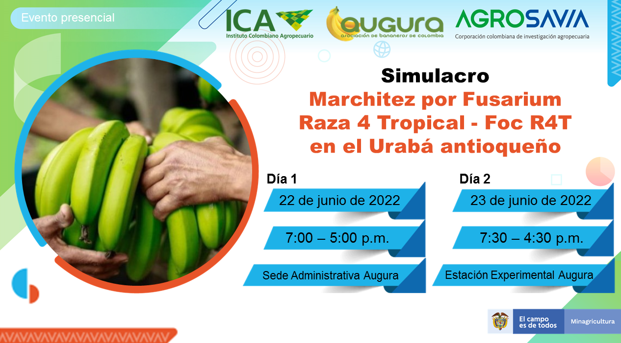 Evento 23 junio