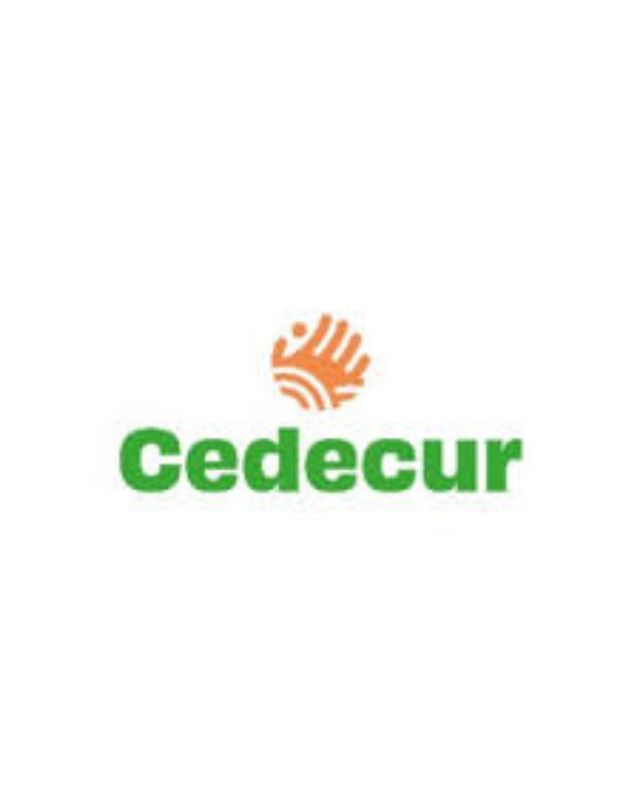 Centro de Educación e Investigación para el Desarrollo Comunitario Urbano y Rural
