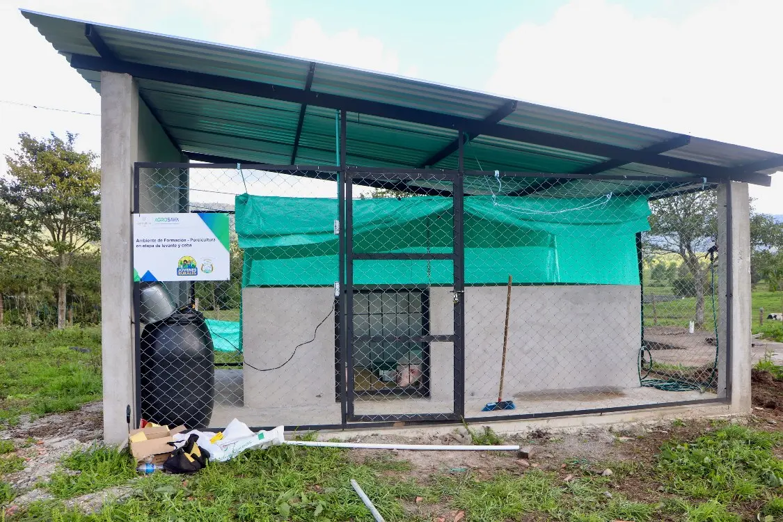 Jóvenes De Balsillas2 Fotor Webp