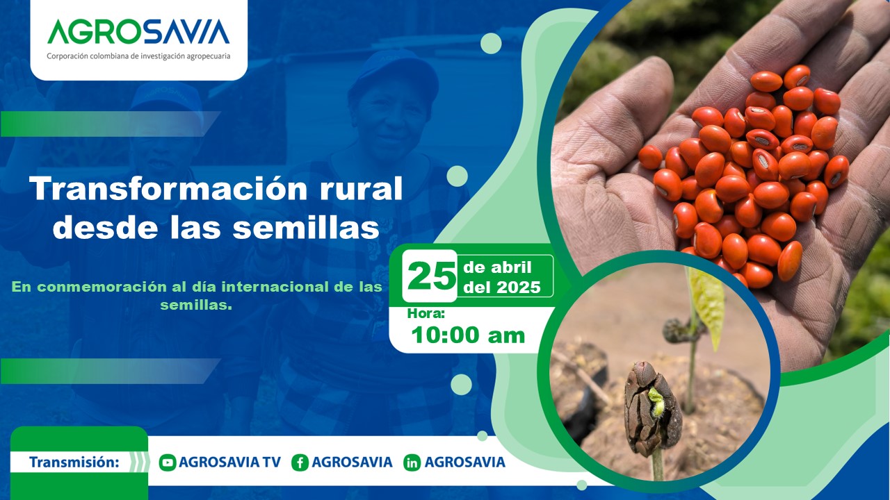 Evento 25 abril