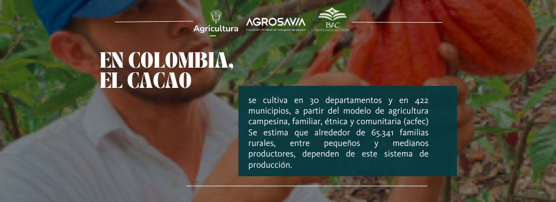 Manejo De La Fertilización Integrada En El Cultivo De Cacao Manual Orientado A La Región Del Catatumbo2