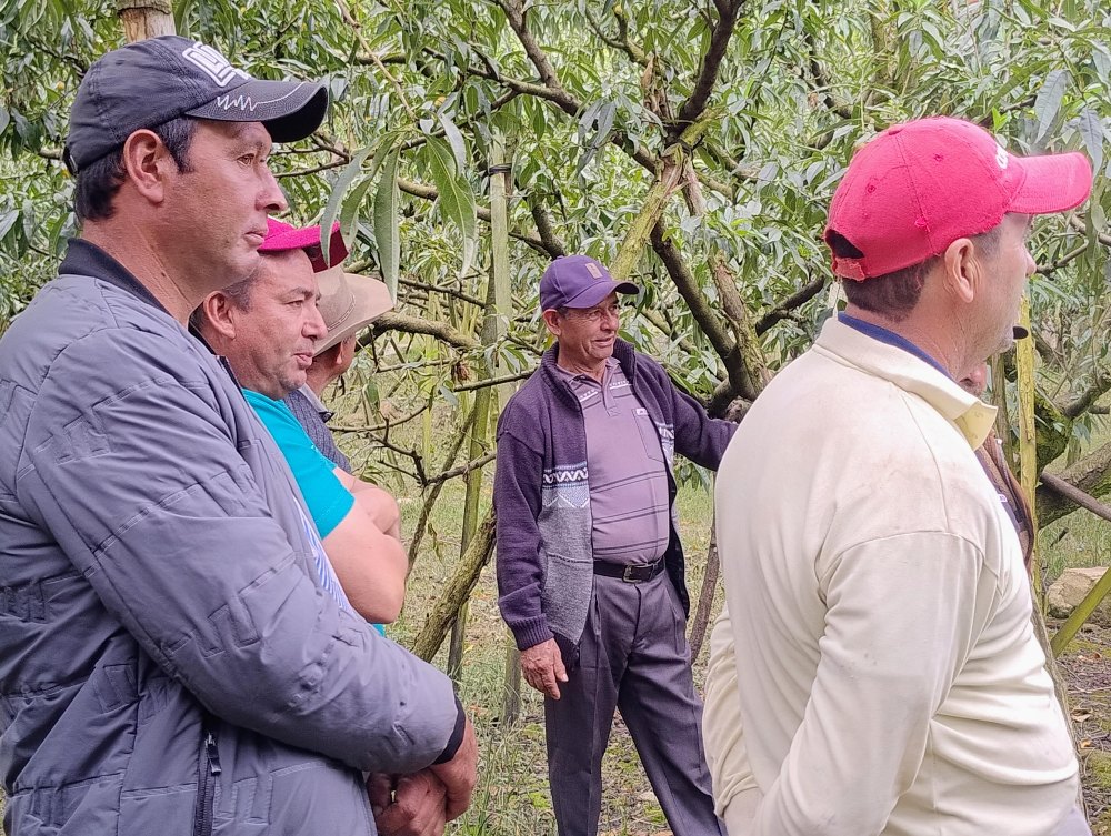 ICA Y AGROSAVIA Identificaron Necesidades De Capacitación En Durazno4 AGROSAVIA