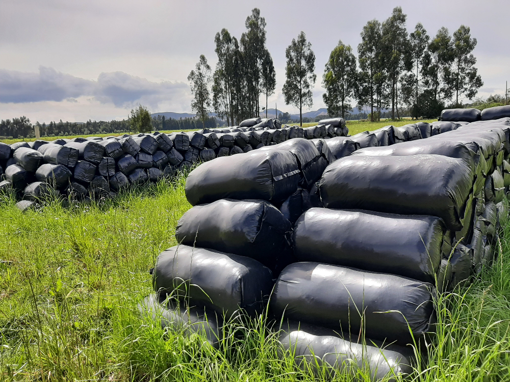 Bolsas En El Lote 49 Def