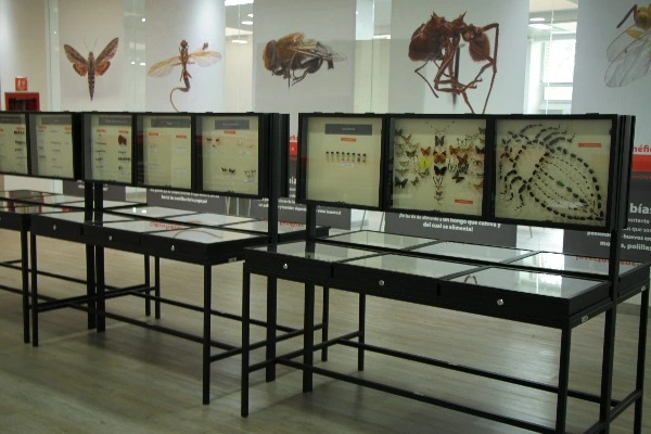 Entomología Tibaitatá