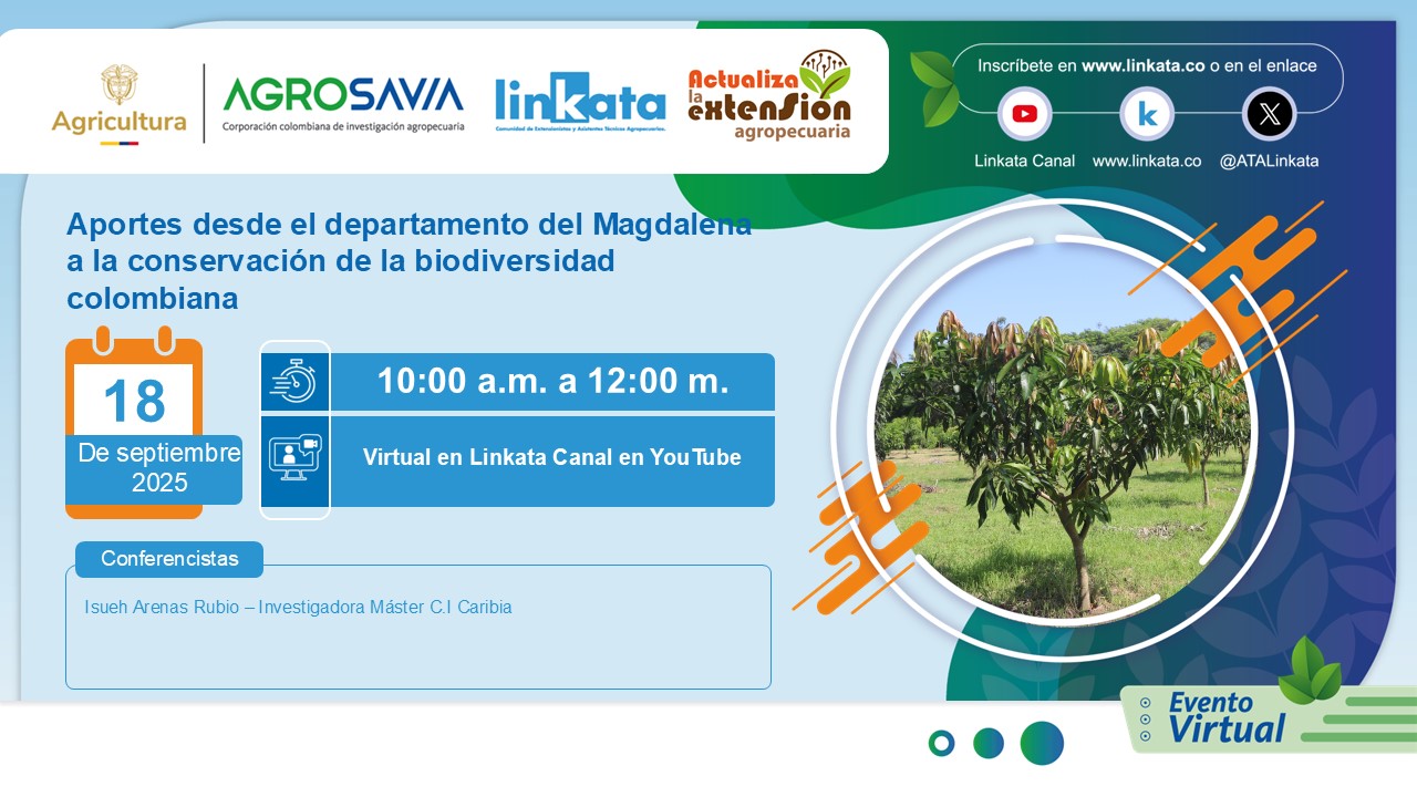 Evento 18 septiembre