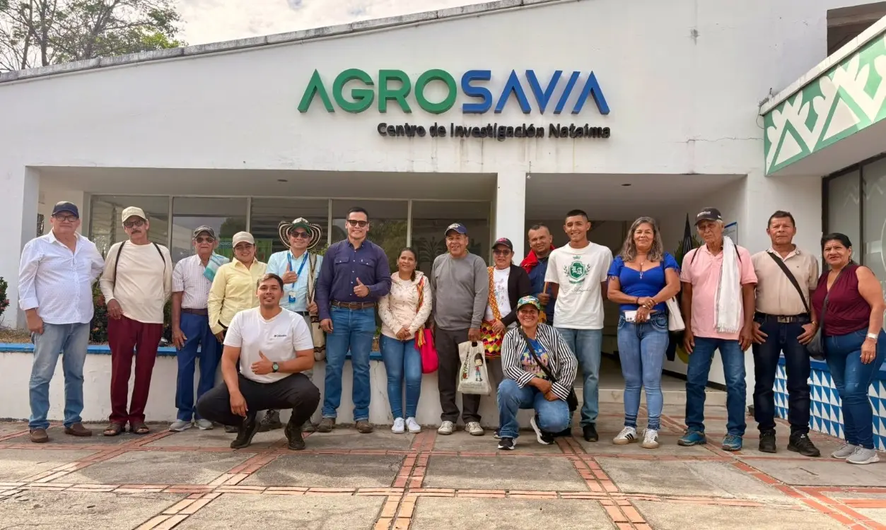 AGROSAVIA transfiere tecnología para la producción de cacao