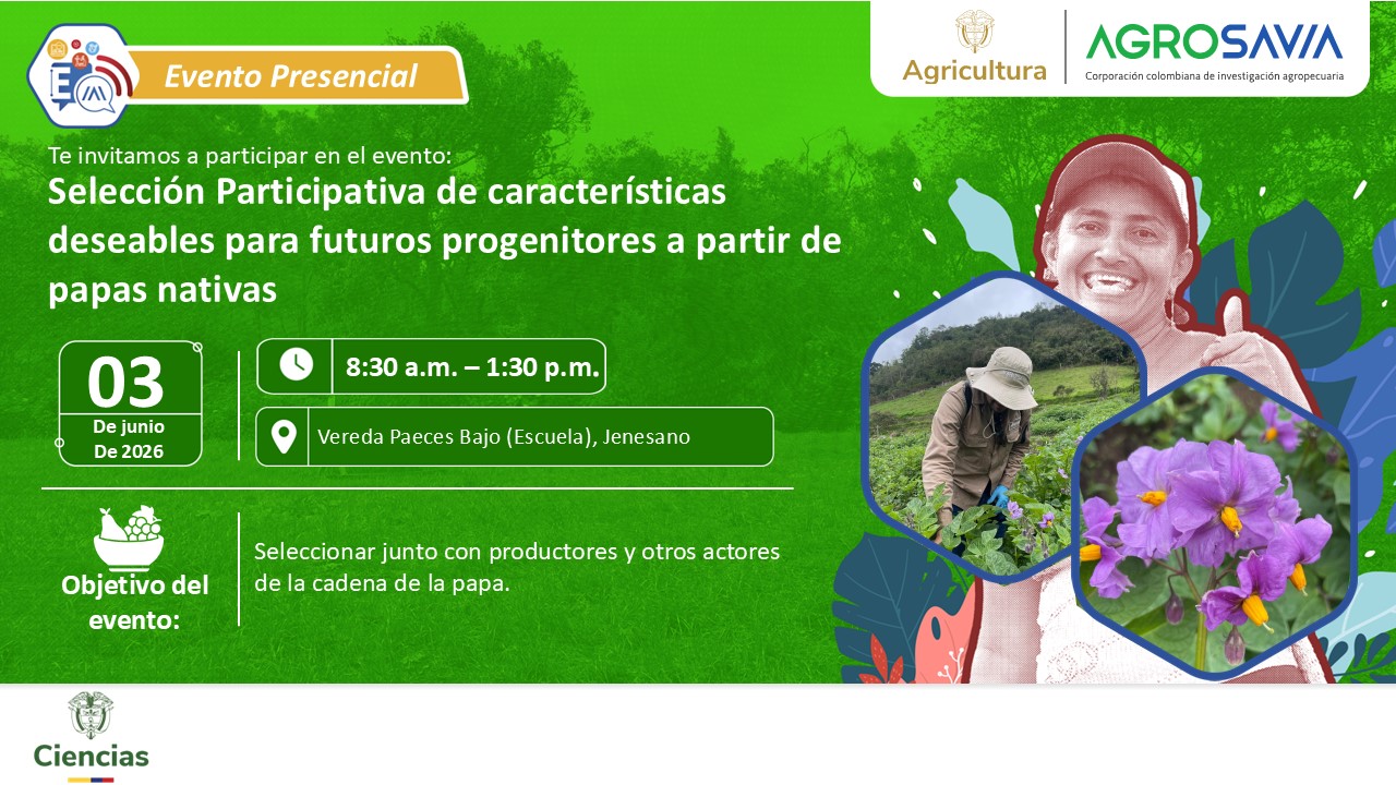 Evento 03 junio