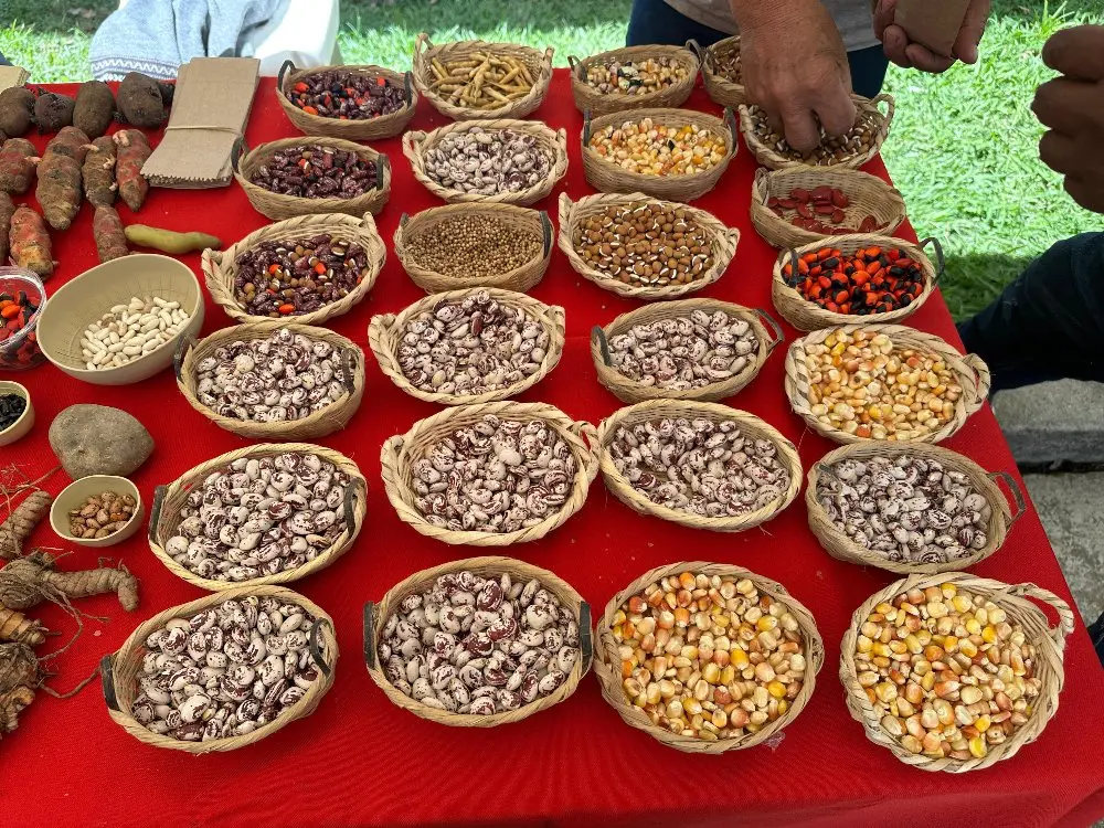 Comunidades Y Gobierno Se Unen En Popayán4 Fotor Webp