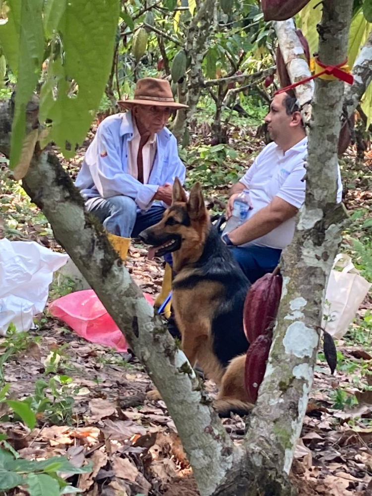 Proyecto Regional Cacao9 AGROSAVIA