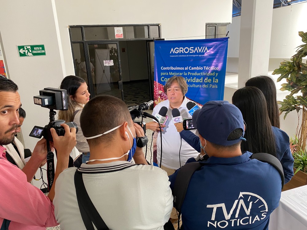 AGROSAVIA Presenta Proyecto En Cebolla Ocañera Para Norte De Santander3 AGROSAVIA