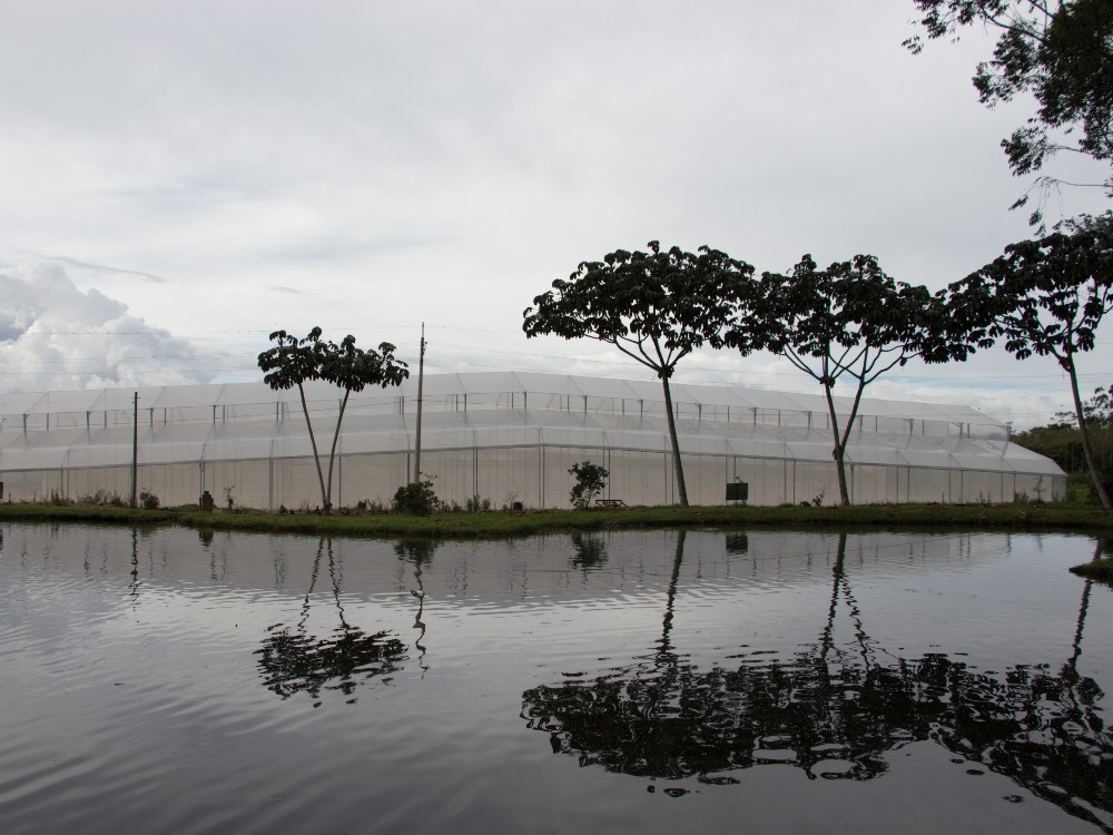 Desde Noruega llega misión de arquitectos y paisajistas que fortalecerá el proyecto Agroparque Jardín Botánico del 
Oriente antioqueño