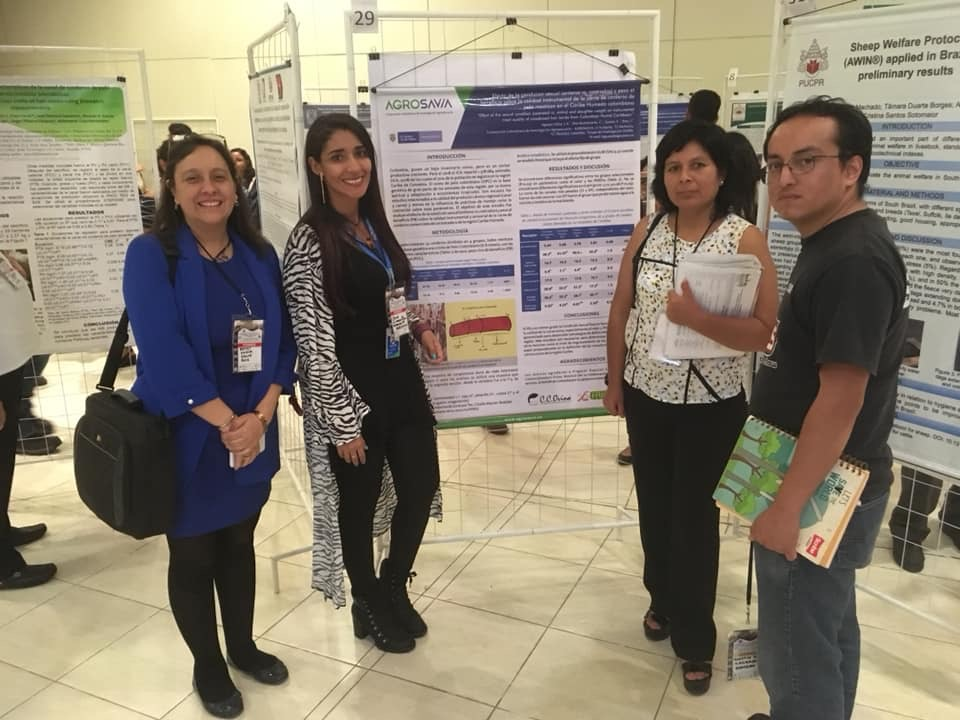 Valledupar Será Sede Del XII Congreso De Ovinos, Caprinos Y Camélidos Sudamericanos2
