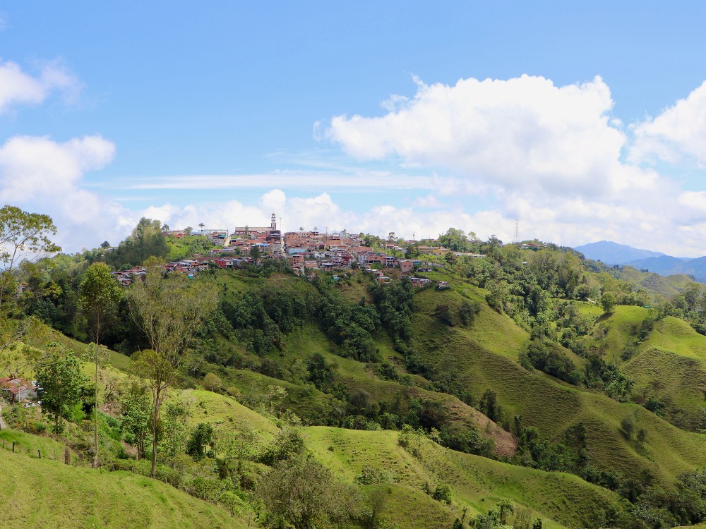 Plan Semilla Aguacate Herveo3 AGROSAVIA