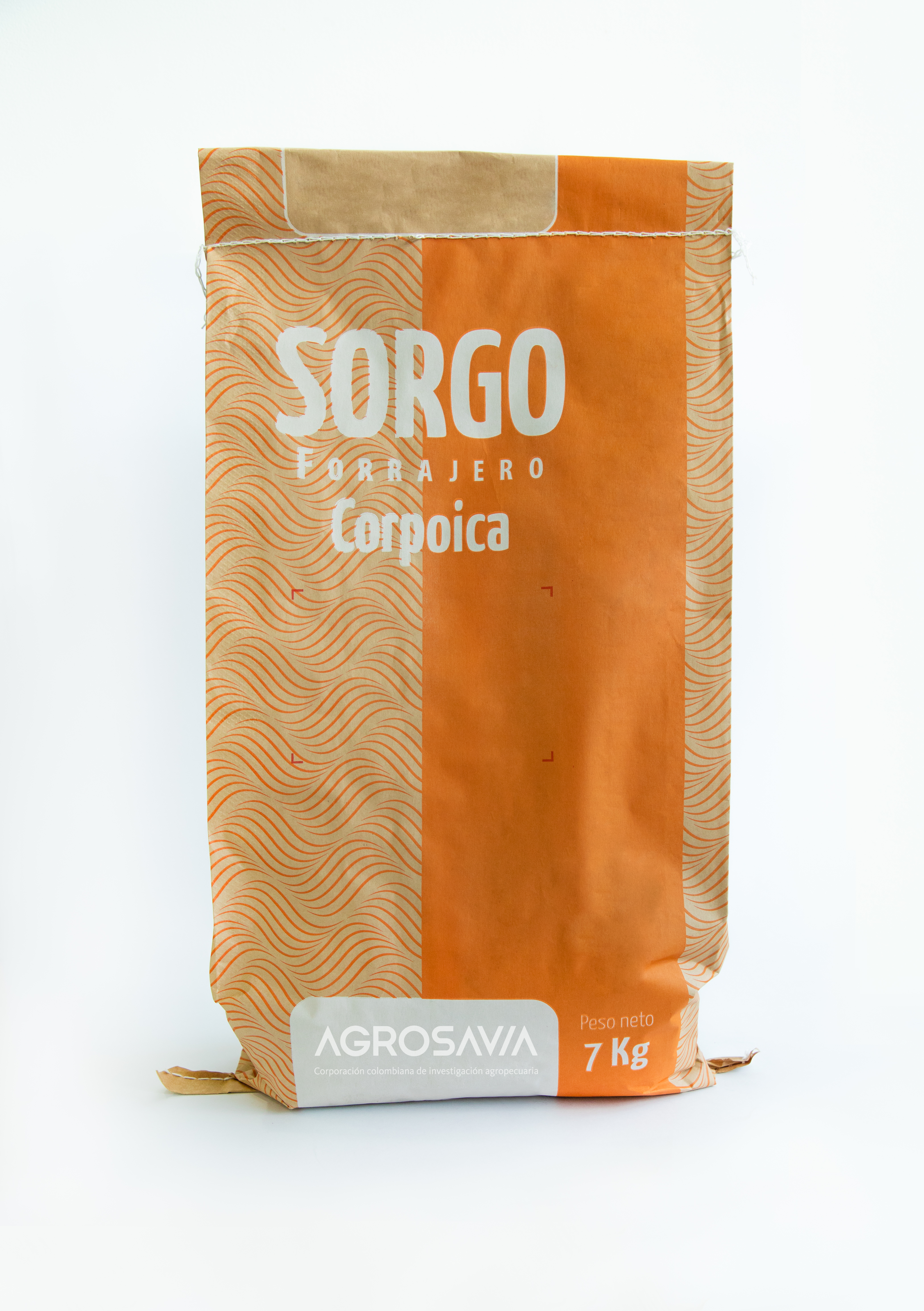 Sorgo Semilla 02