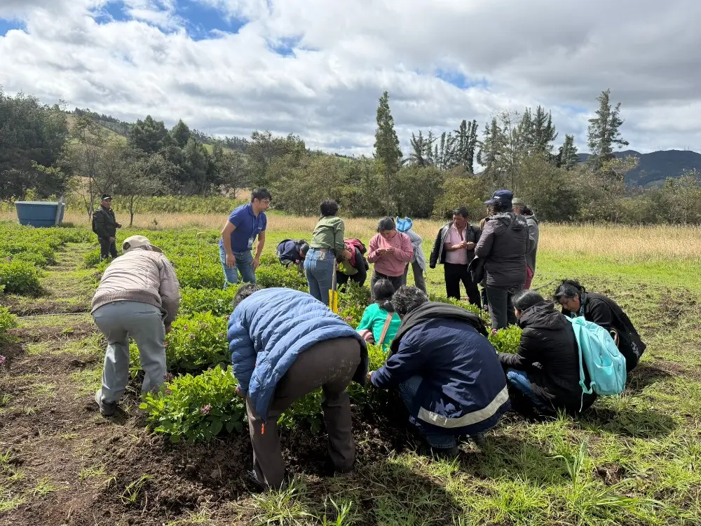 AGROSAVIA Fortalece El Conocimiento Agropecuario 2 Fotor Webp
