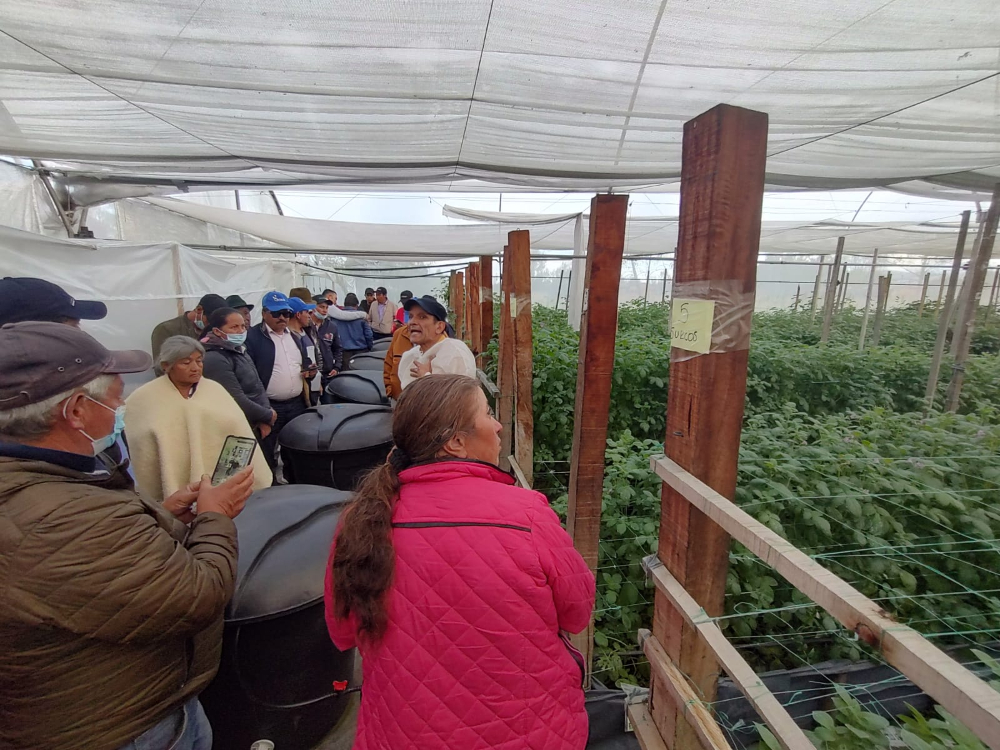 Gracias a AGROSAVIA y ADR, paperos y asistentes técnicos de Cundinamarca y Boyacá se actualizan en estrategias para mitigar situación de los agroinsumos
