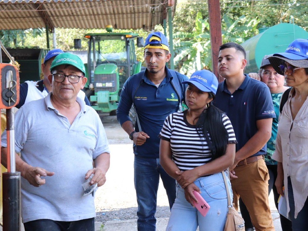 Curso De Pastos3 AGROSAVIA