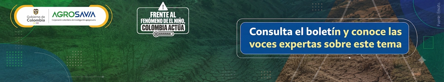Ajustada Bannerfenomeno