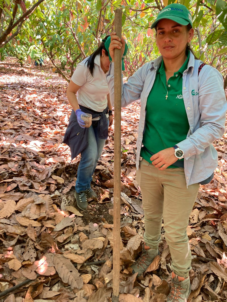 Proyecto Regional Cacao10 AGROSAVIA