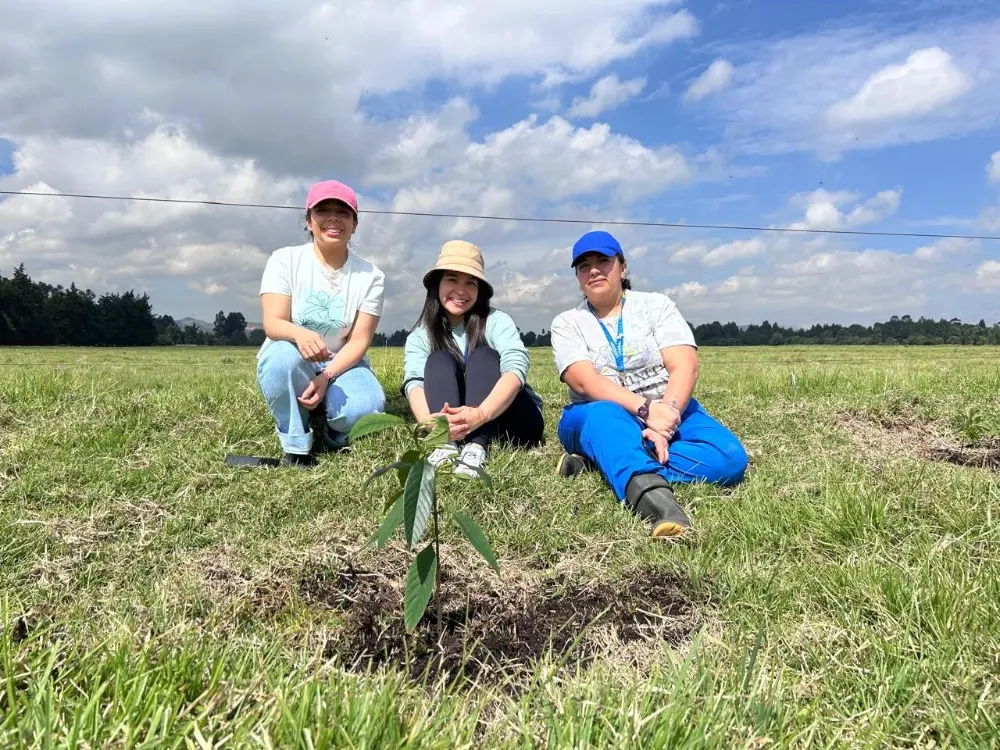 Colombia Siembra Vida4 Fotor Webp