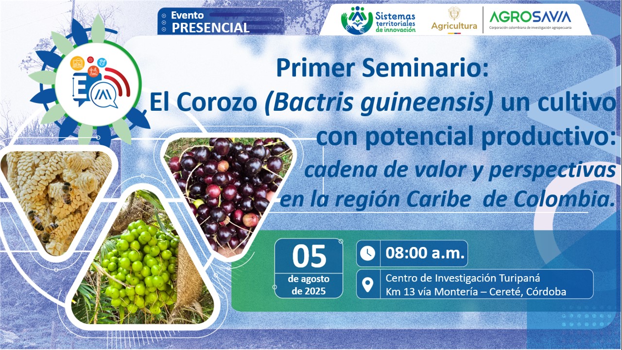 Evento 05 agosto