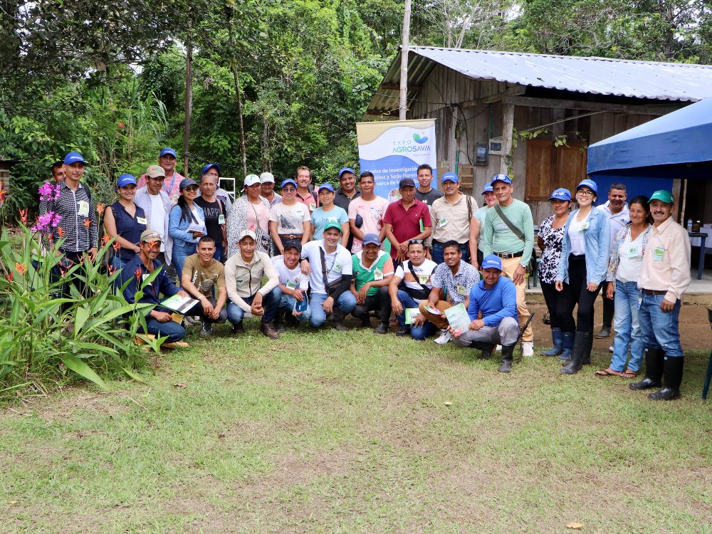 AGROSAVIA continua fortalecimiento de capacidades a productores y extensionistas de plátano y cacao con el Plan de Vinculación Territorial Putumayo