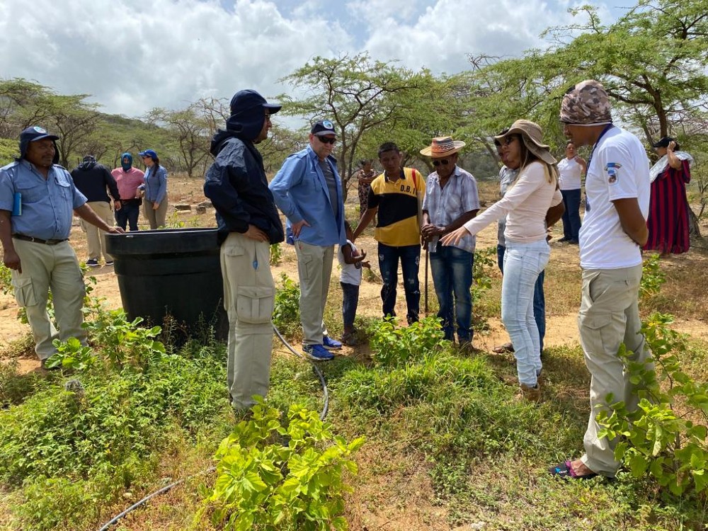 Se publica cartilla con recomendaciones para la propagación de material vegetal nativo en la Alta Guajira con traducción al wayuunaiki 