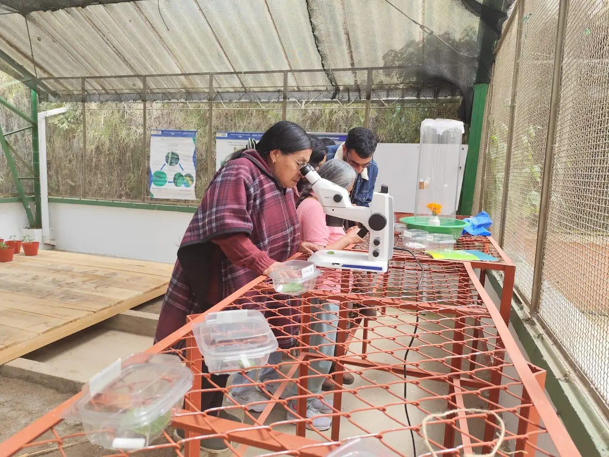 Conservación integrada de la agrobiodiversidad: una apuesta de soberanía alimentaria. 