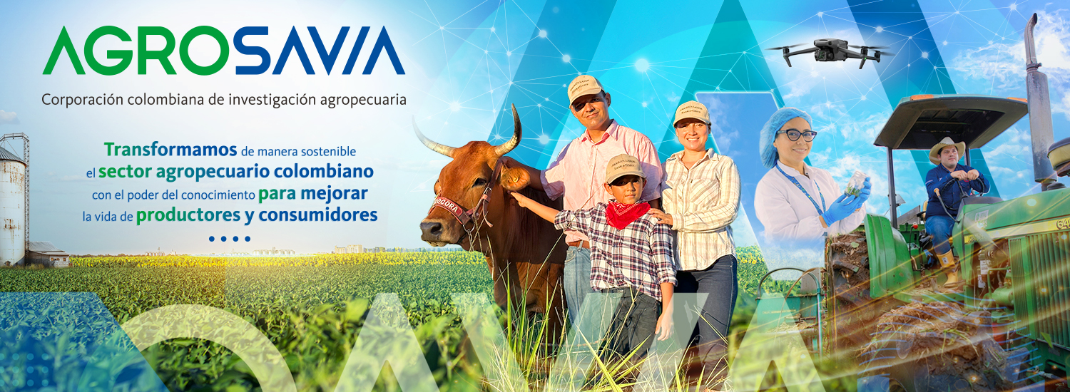 VF SERCIR 2026 10353 Banner Web 1