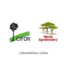 Centro Internacional para la Investigación en Agroforestería