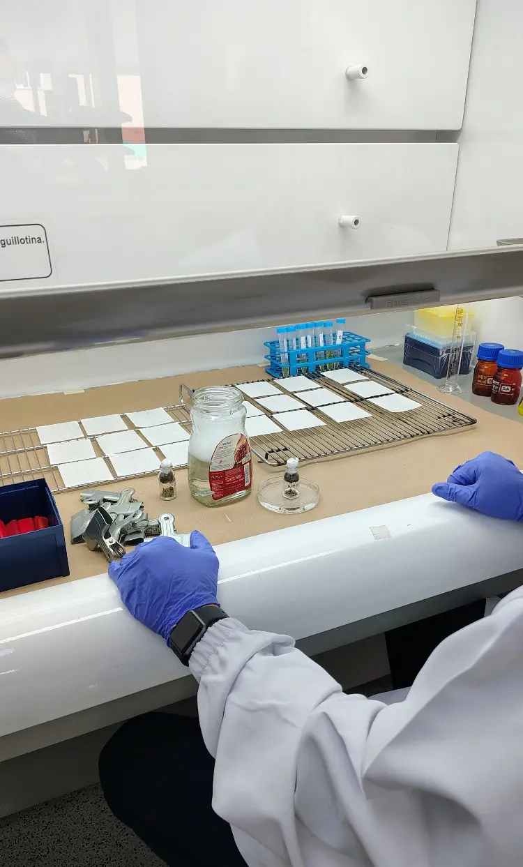 Garrapatas4 Fotor Webp