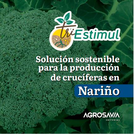 Tristimul