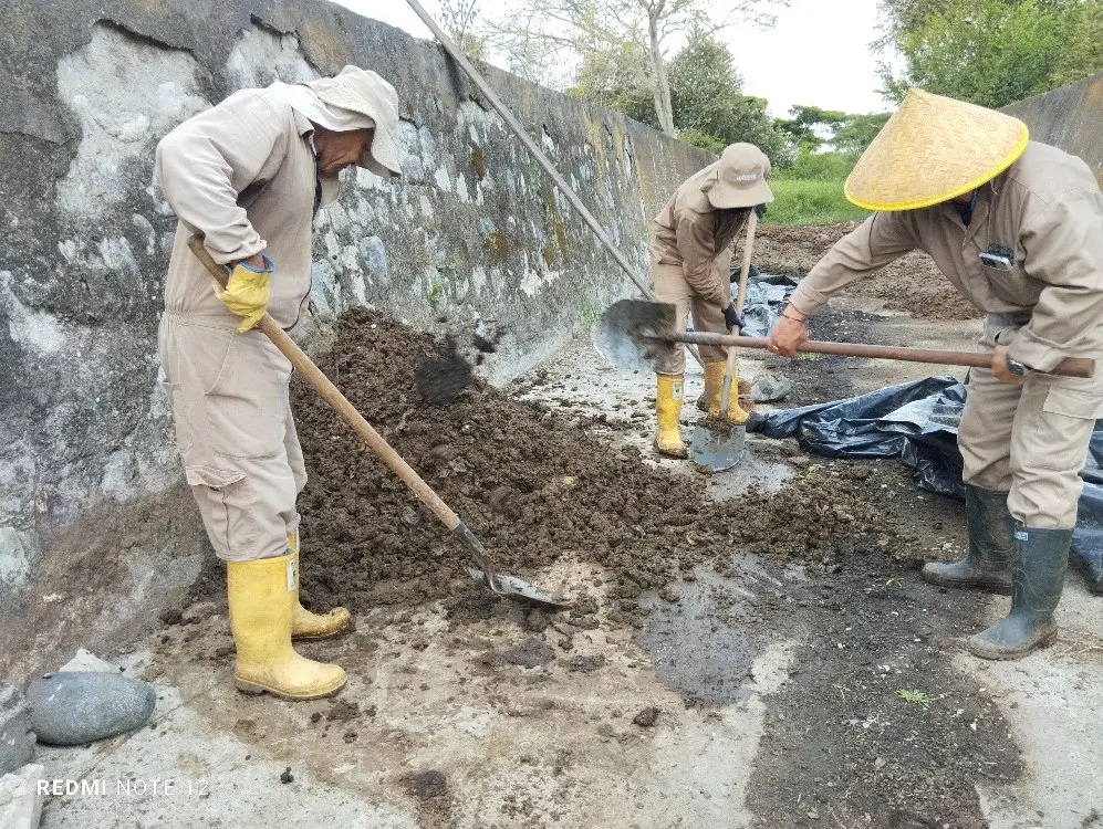 Alonatural Nutricion De Cultivos Conresiduos4 Fotor Webp