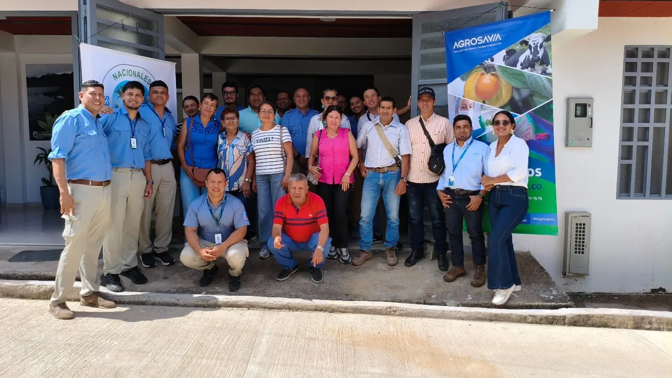 Proyecto Parques2 Fotor Webp