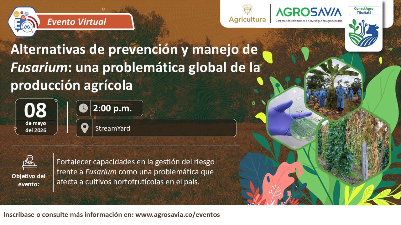 Evento 08 mayo